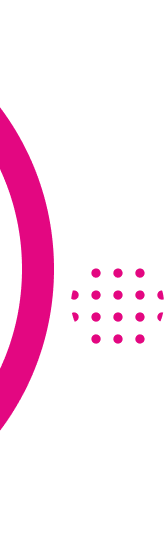 section-decorative-img